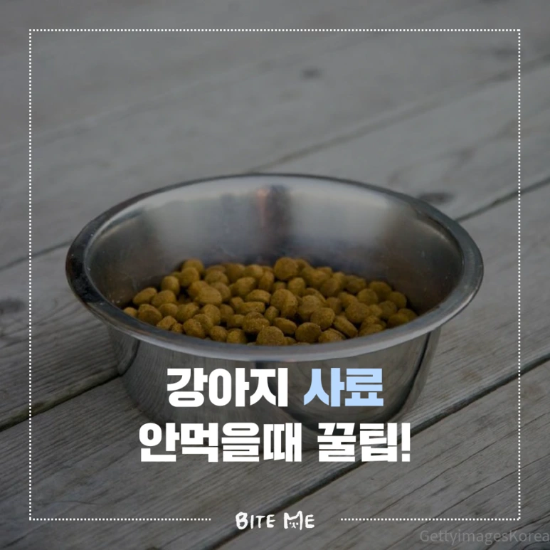 tyle-028-1.png?type=w773