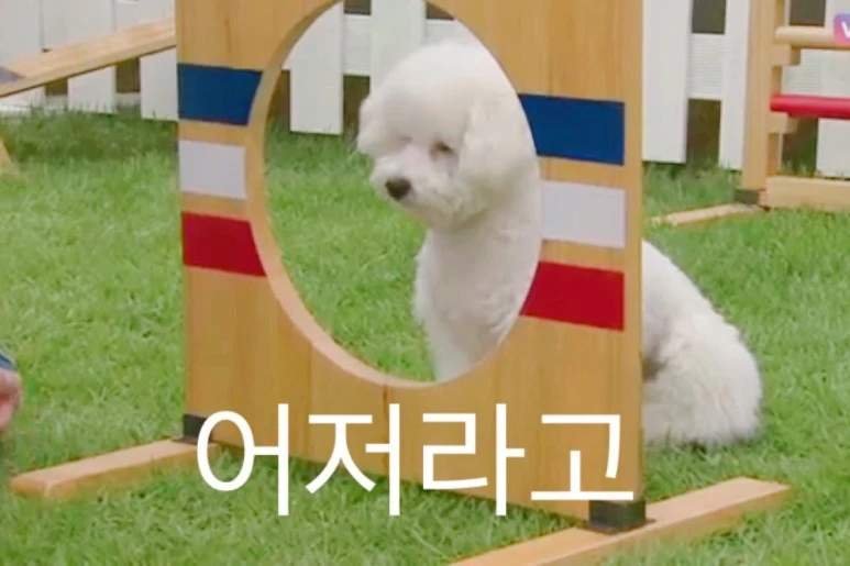 57da6738253782e37e13d598.jpg?type=w773