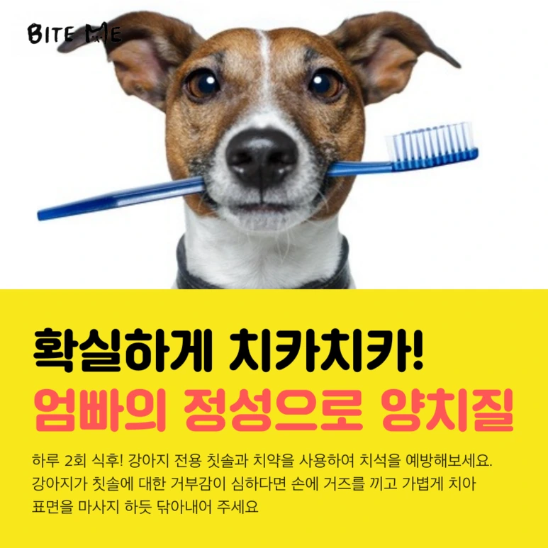 tyle-HWL-3.png?type=w773