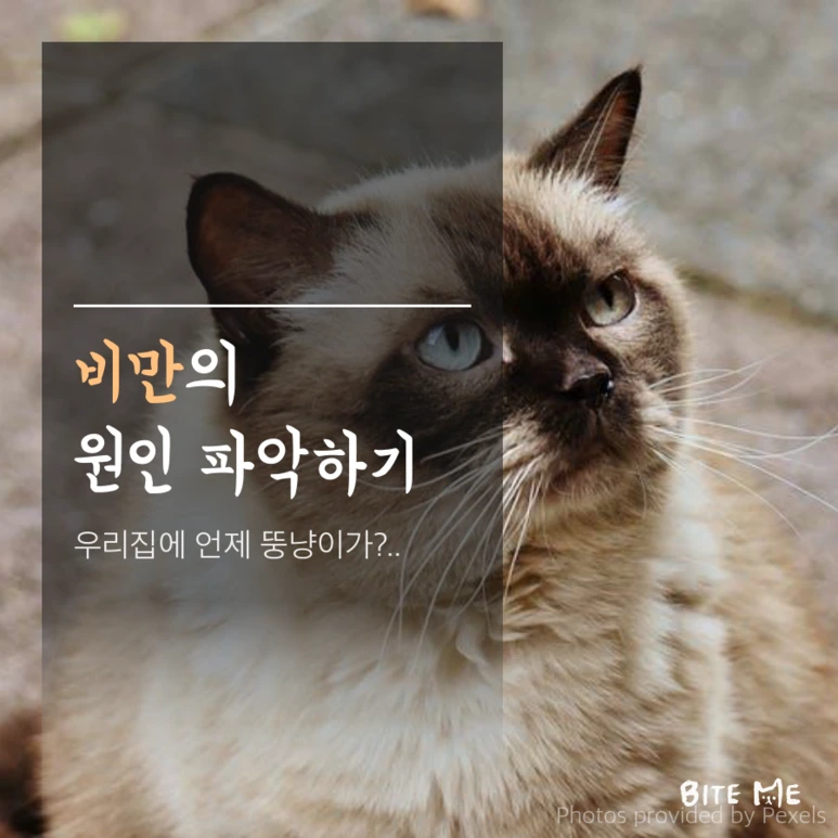 tyle-VUQ-2.png?type=w773