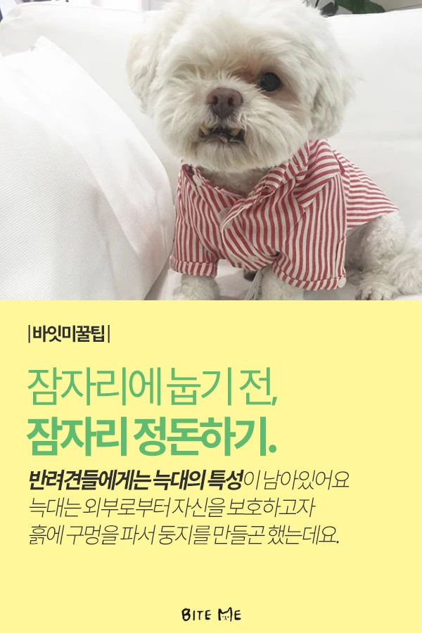 Artboard_1_copy.png?type=w773