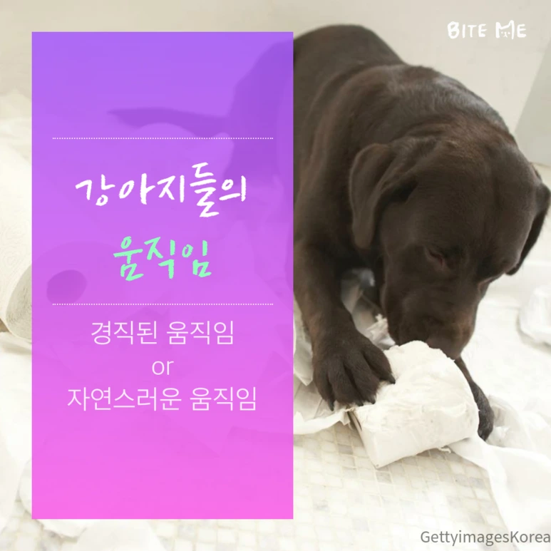 tyle-oov-4.png?type=w773