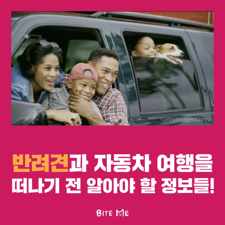 tyle-oW8-1.png?type=w773