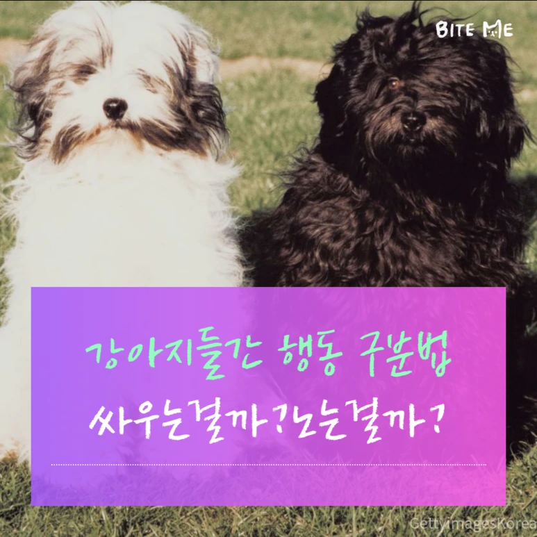 tyle-oov-1.png?type=w773