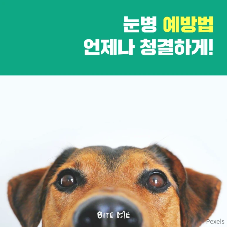 tyle-j8v-6.png?type=w773