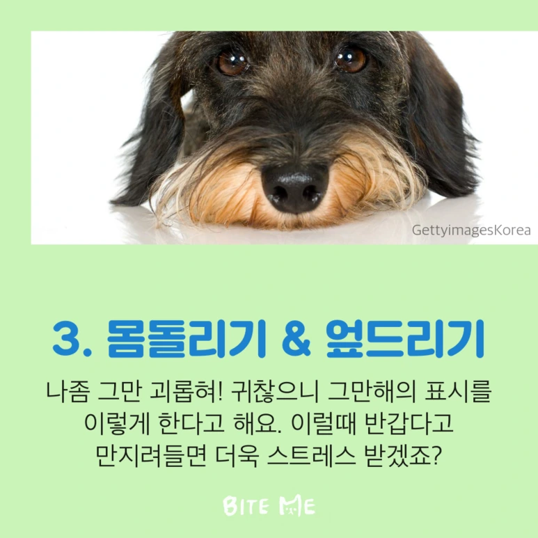 tyle-wlH-5.png?type=w773