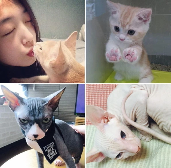 %EB%8B%A4%EC%9A%B4%EB%A1%9C%EB%93%9C.jpg?type=w773