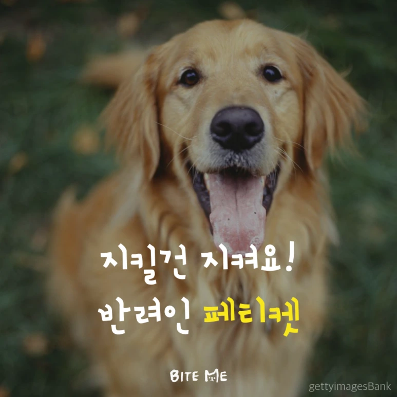 tyle-eVQ-1.png?type=w773