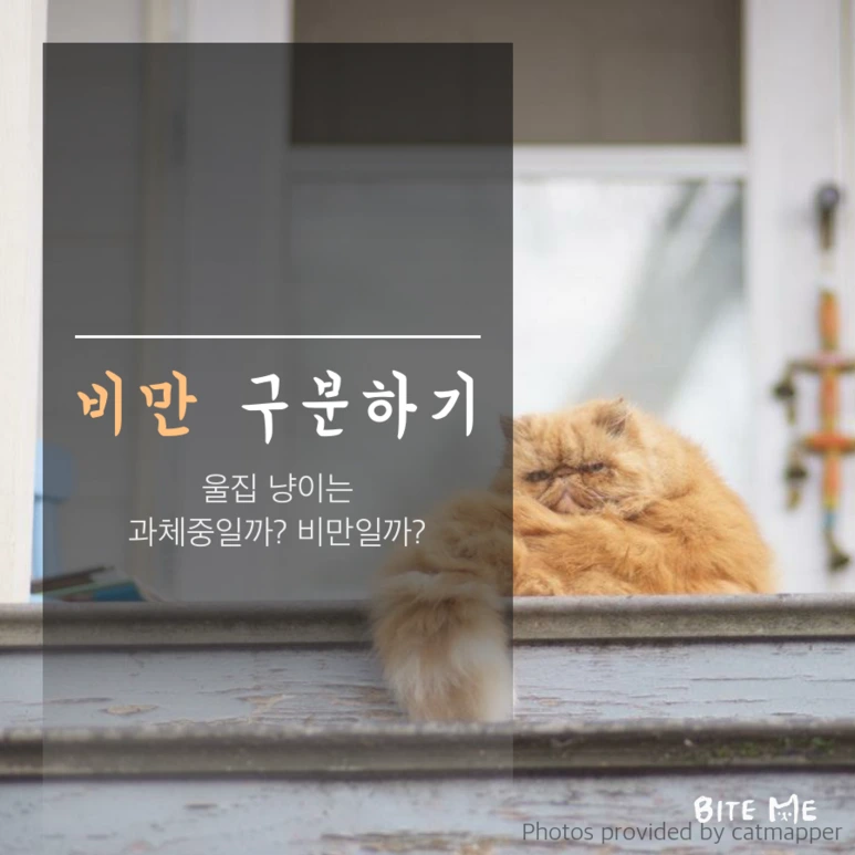 tyle-VUQ-3.png?type=w773