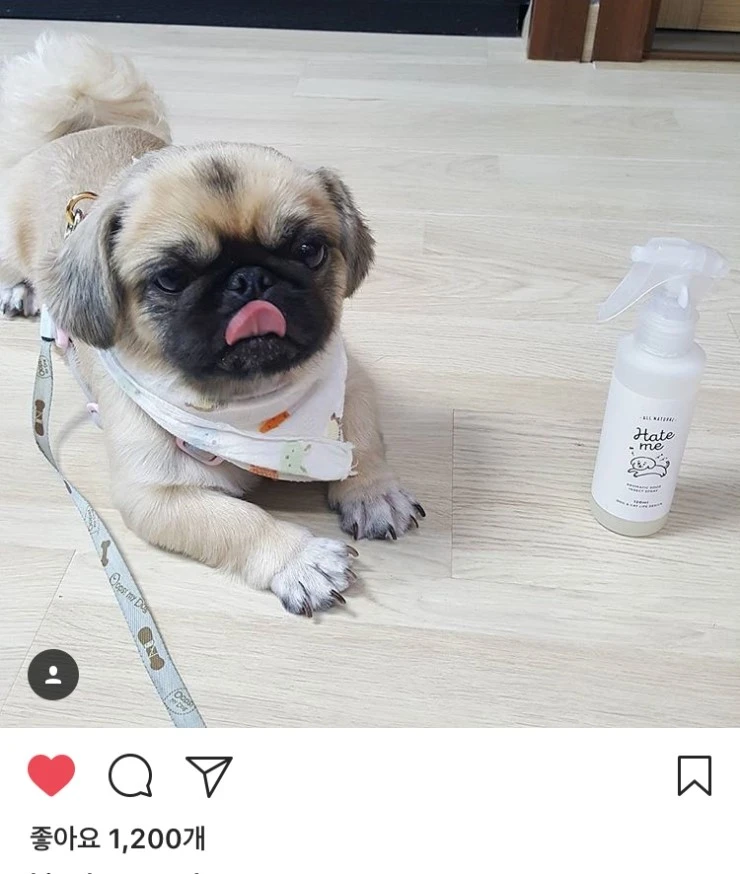 %ED%97%A4%EC%9E%87%EB%AF%B84.jpg?type=w2