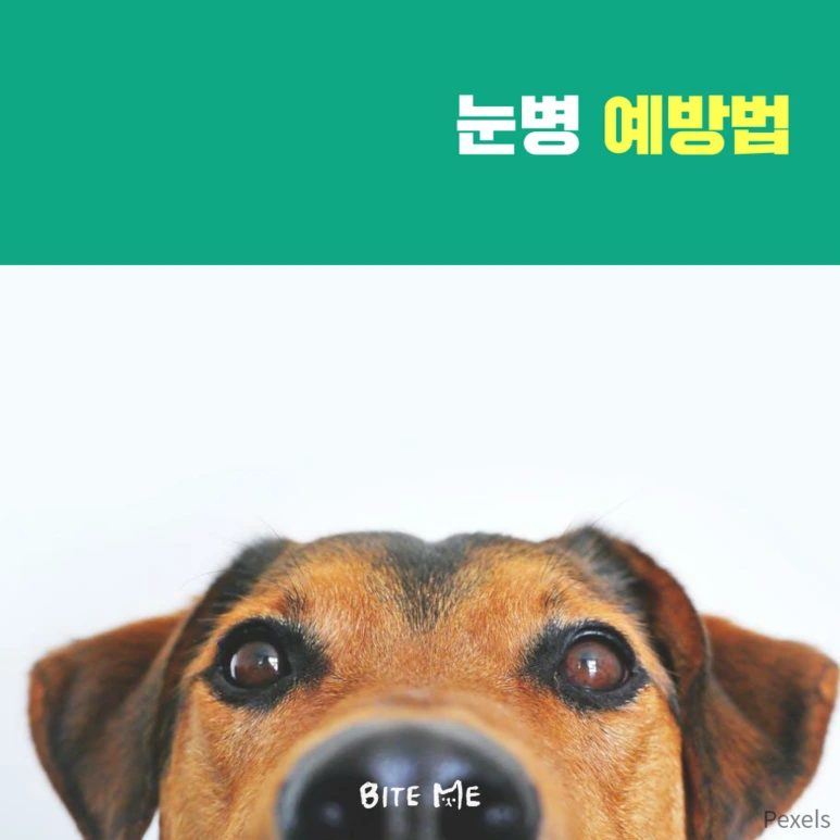 tyle-j8v-3.png?type=w773