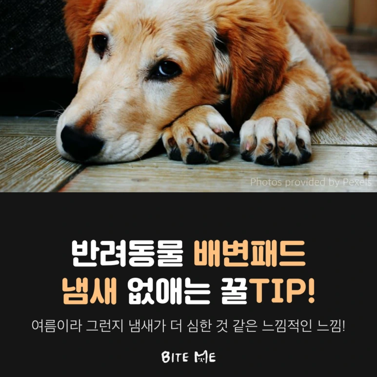 tyle-N3c-1.png?type=w773