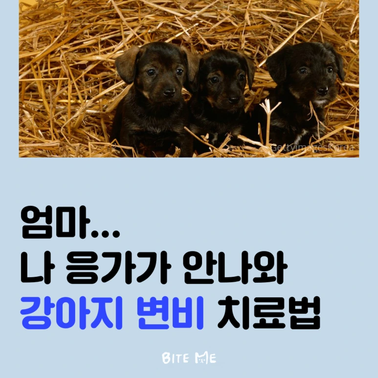 tyle-zrQ-1.png?type=w773