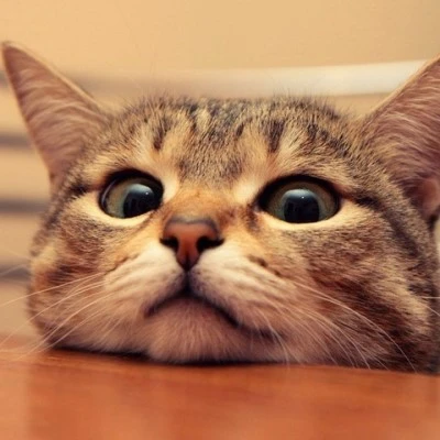 KakaoTalk_20170224_143719983.jpg?type=w773