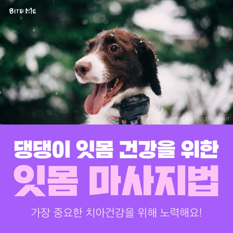 tyle-5BY-1.png?type=w773