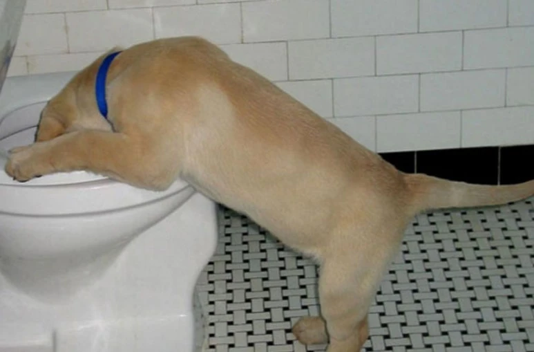 20160921_201029.jpg?type=w773