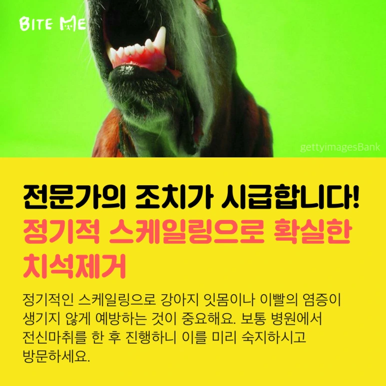 tyle-HWL-4.png?type=w773