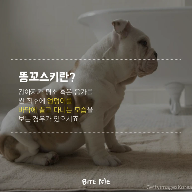 tyle-GjT-2.png?type=w773