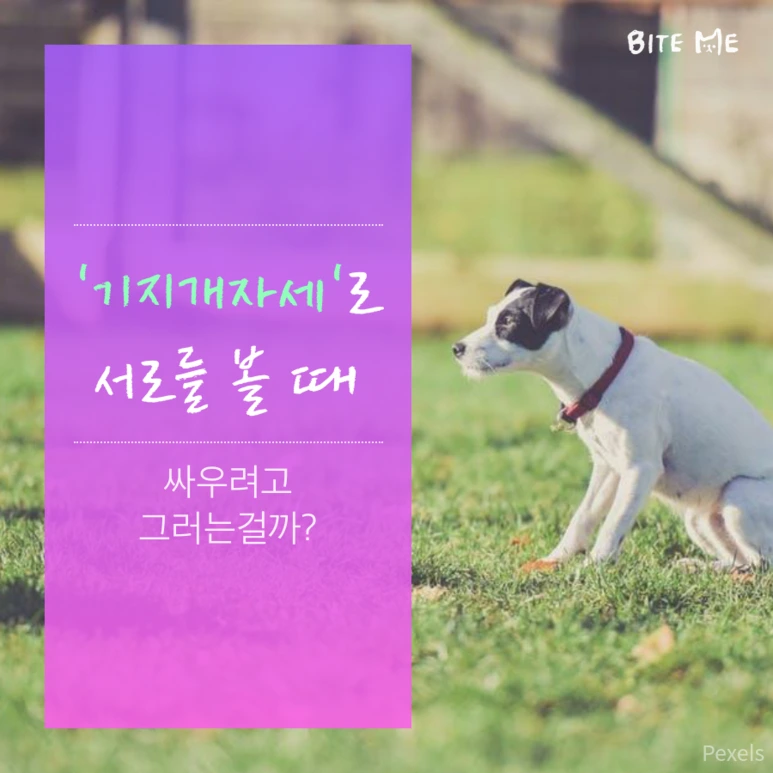 tyle-oov-3.png?type=w773