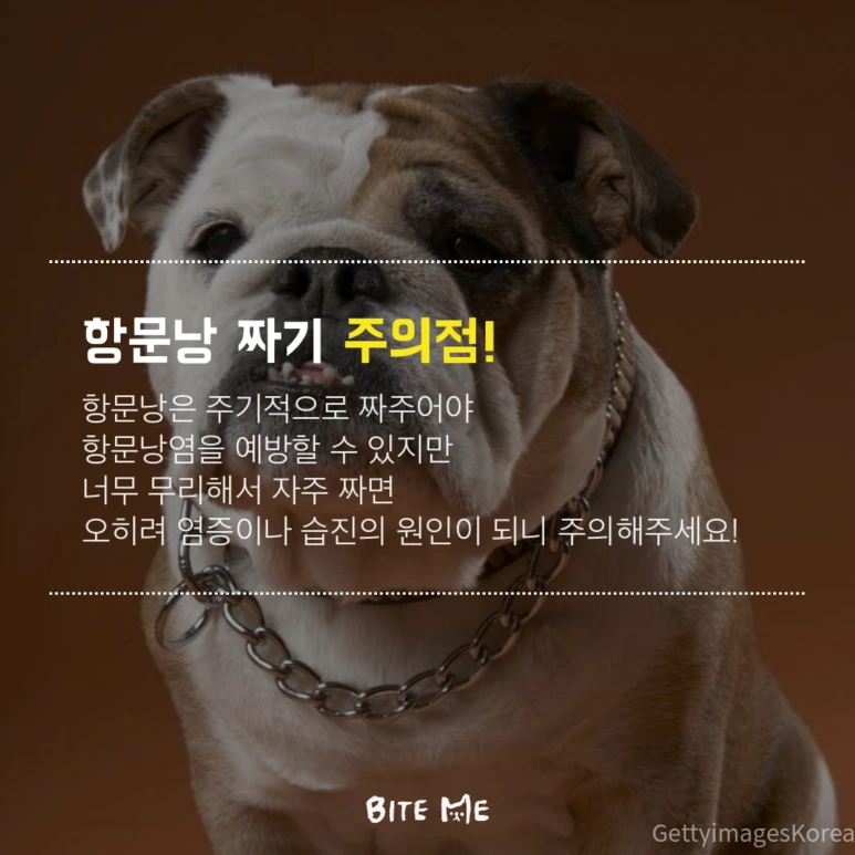 tyle-GjT-7.png?type=w773