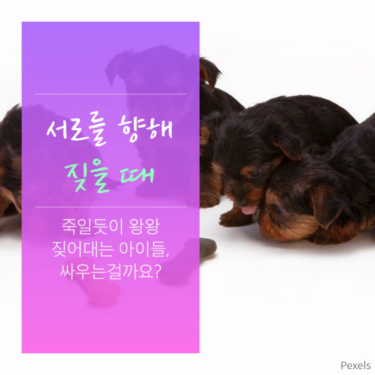 tyle-oov-2.png?type=w773