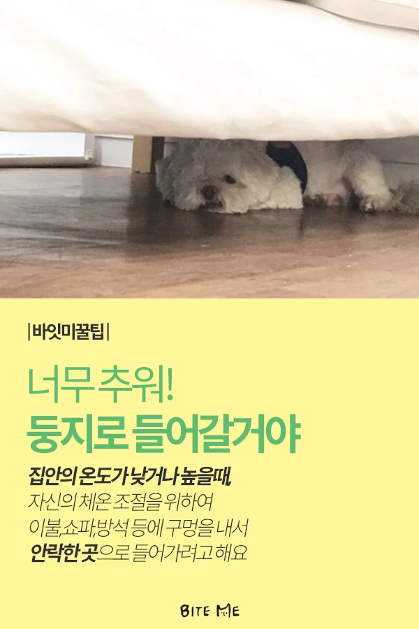 Artboard_1_copy_3.png?type=w773