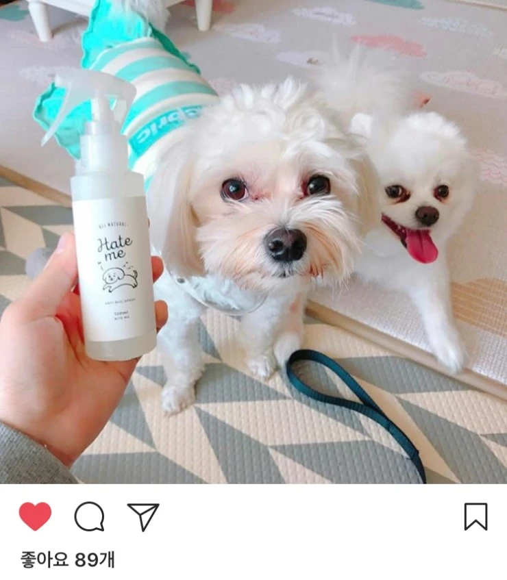 %ED%97%A4%EC%9E%87%EB%AF%B811.jpg?type=w2