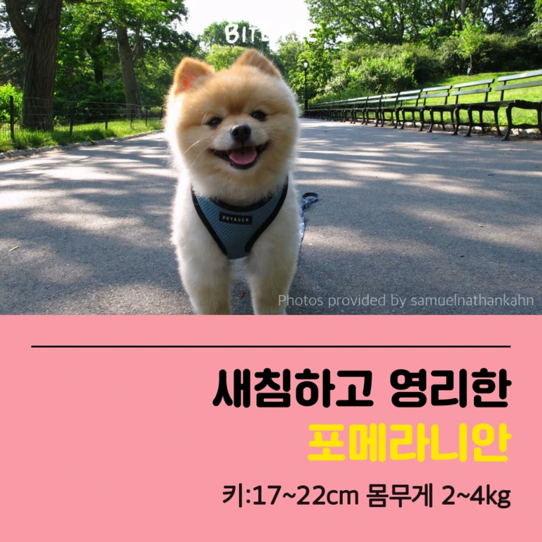 tyle-A7z-2.png?type=w773