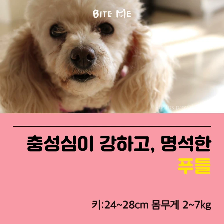 tyle-A7z-2_%282%29.png?type=w773