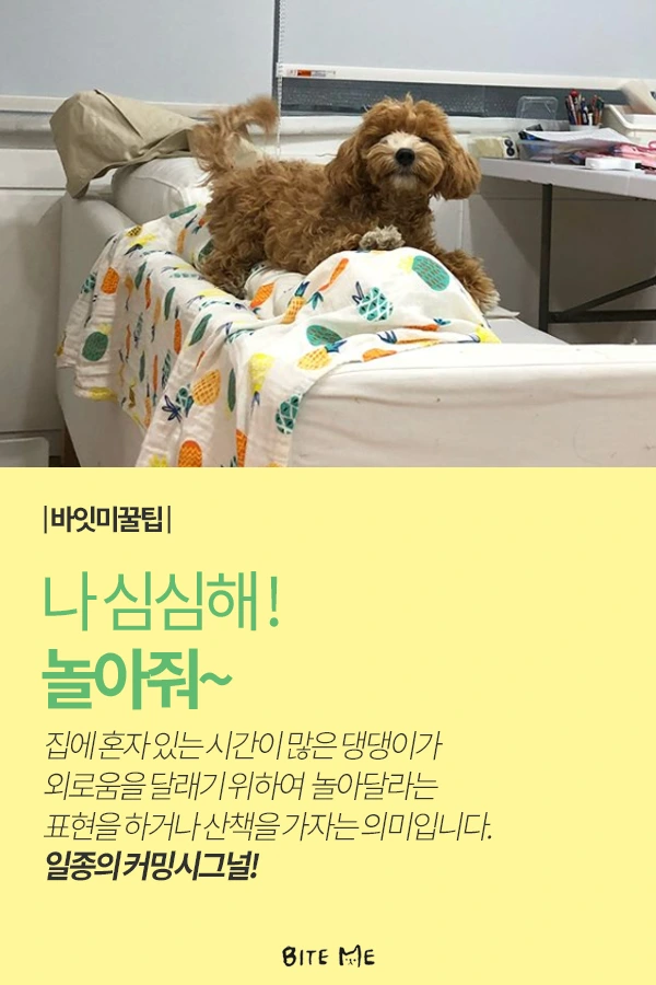 Artboard_1_copy_4.png?type=w773