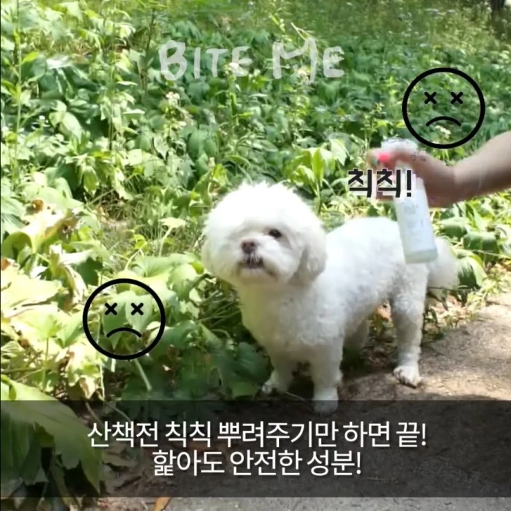 %ED%95%B4%EC%B6%A9%EB%B0%A9%EC%A7%80%EC%8A%A4%ED%94%84%EB%A0%88%EC%9D%B45.jpg?type=w2