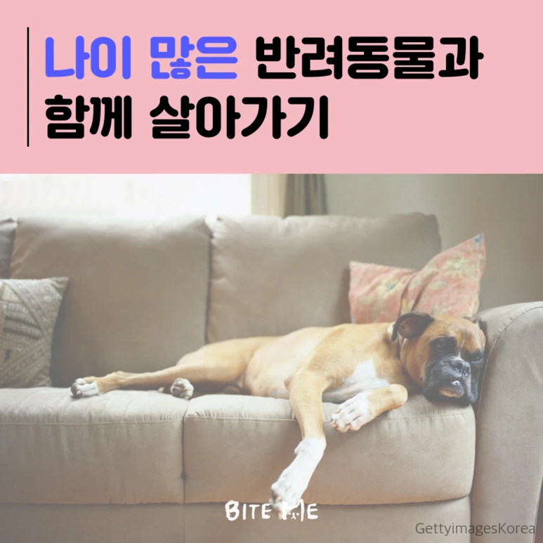 tyle-jCc-1.png?type=w773