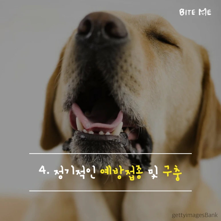 tyle-eVQ-5.png?type=w773