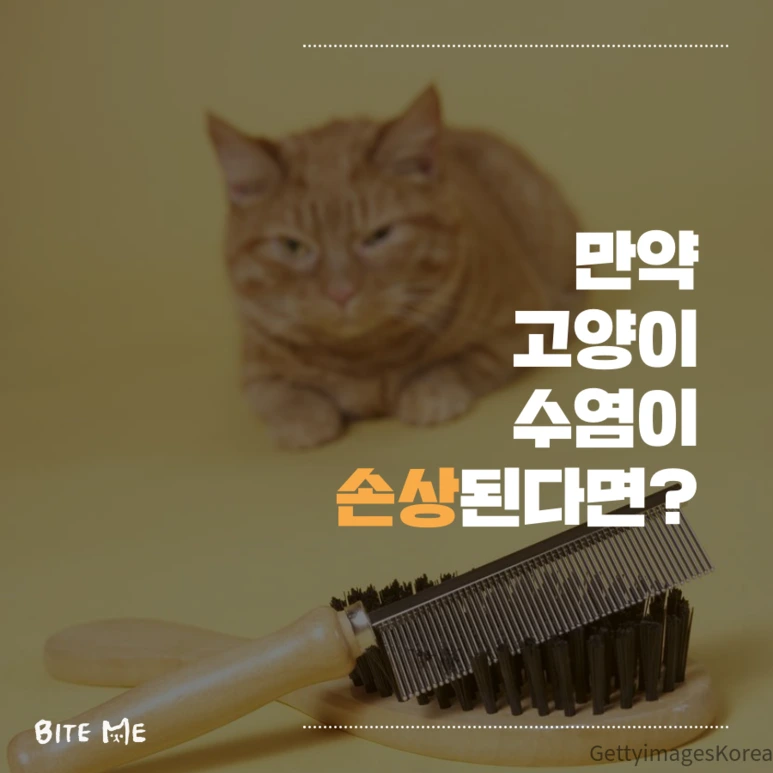 tyle-qVS-3.png?type=w773