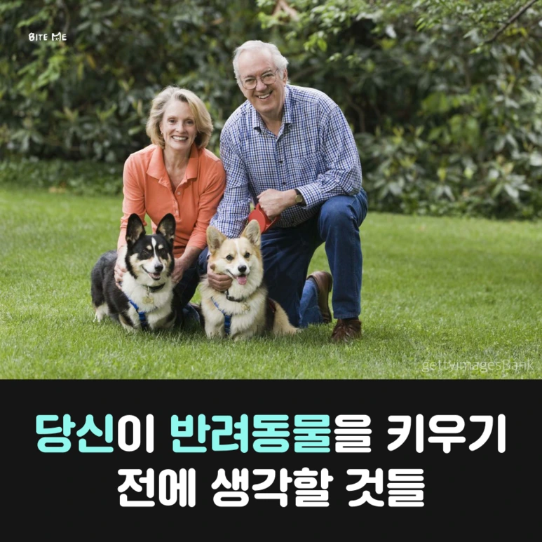 tyle-Ia4-1.png?type=w773