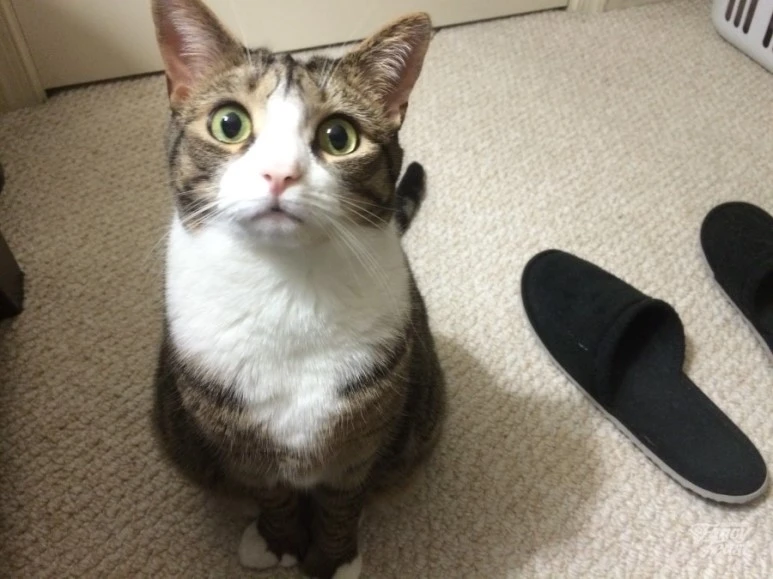 B3EEB6F5B0EDBEE7C0CC.jpg?type=w773