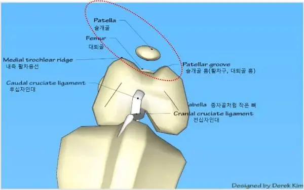 397_1203_2434.jpg?type=w773