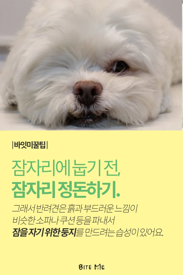 Artboard_1_copy_5.png?type=w773