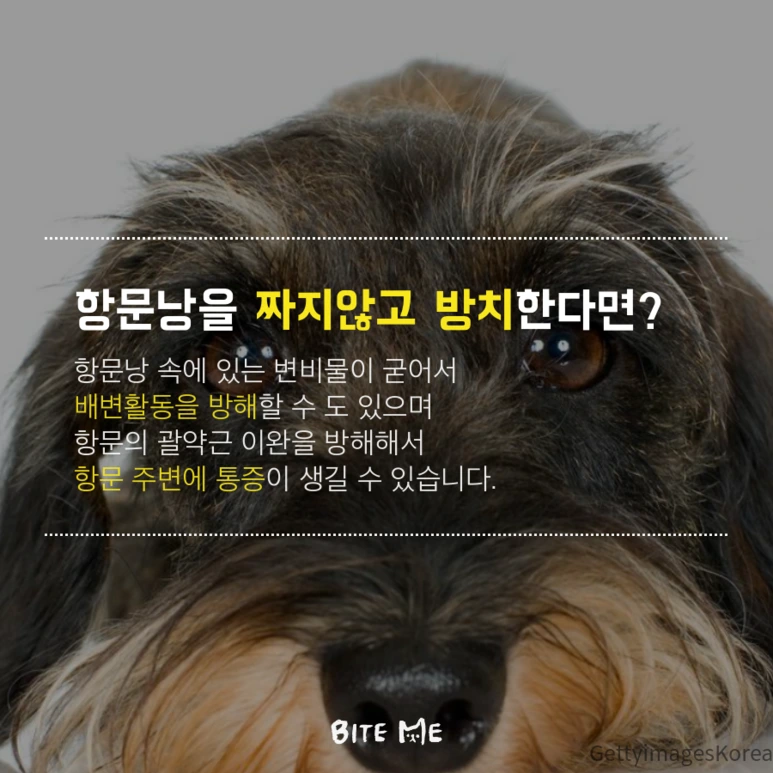 tyle-GjT-5.png?type=w773