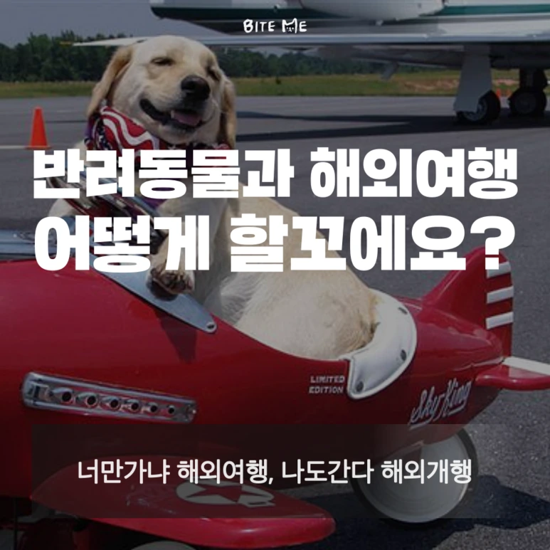 tyle-mkw-1_%281%29.png?type=w773