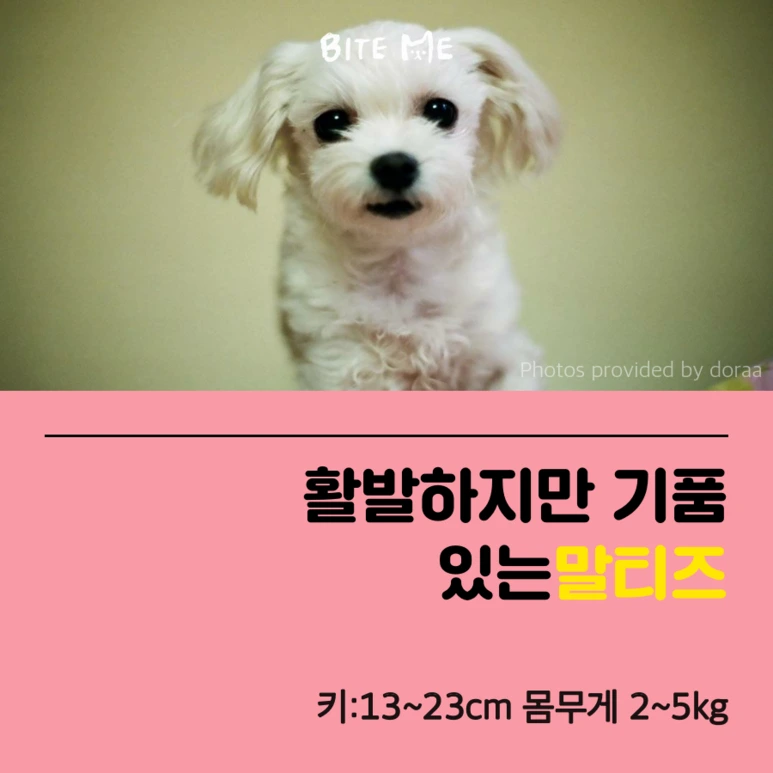 tyle-A7z-2_%286%29.png?type=w773