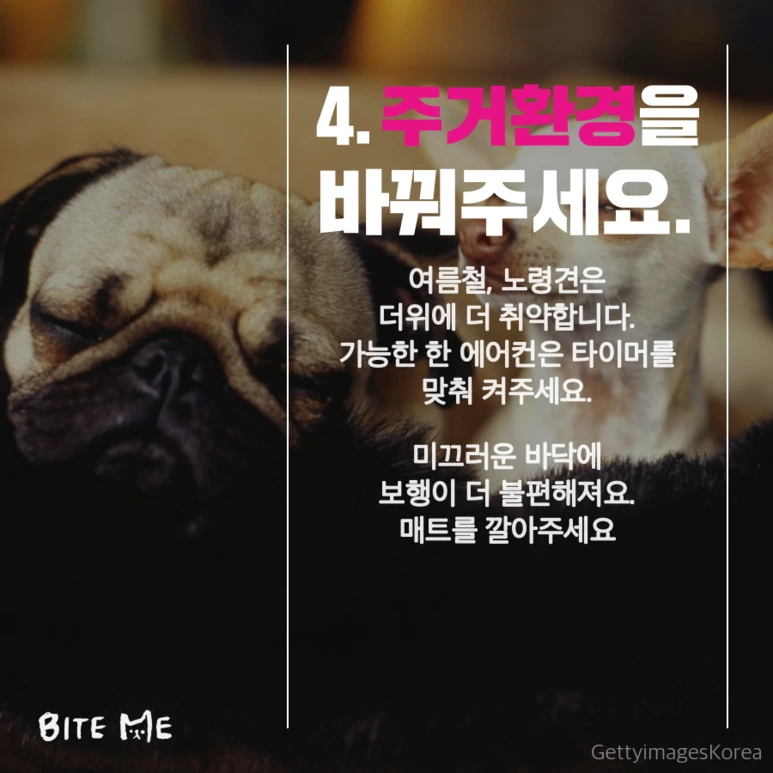 tyle-jCc-5.png?type=w773