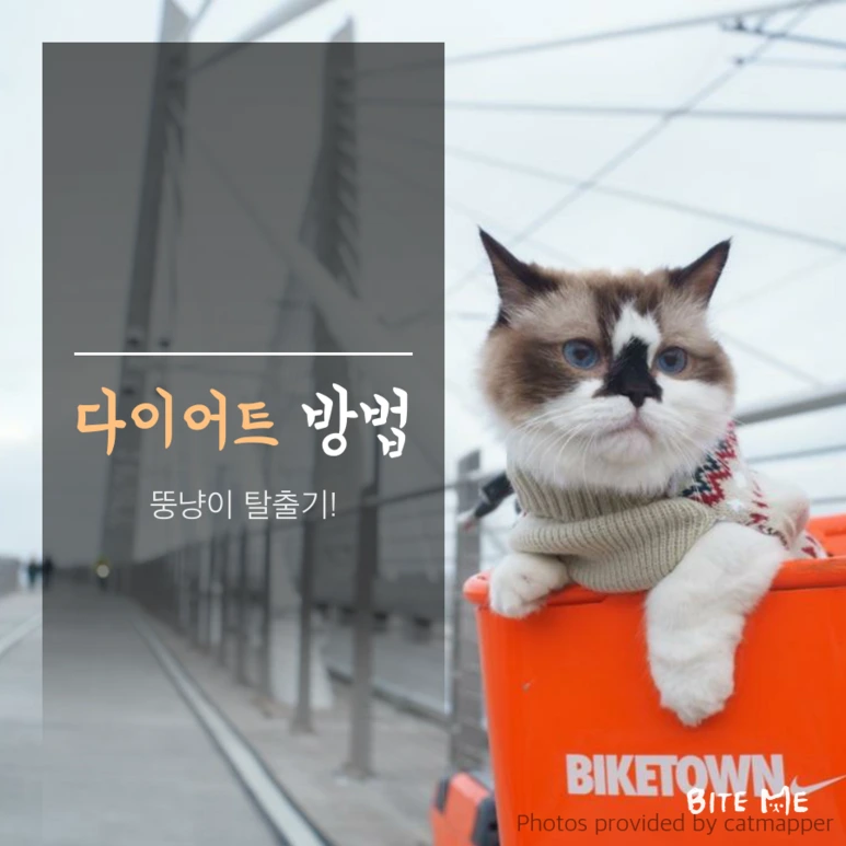 tyle-VUQ-4.png?type=w773