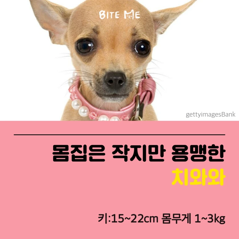 tyle-A7z-2_%283%29.png?type=w773