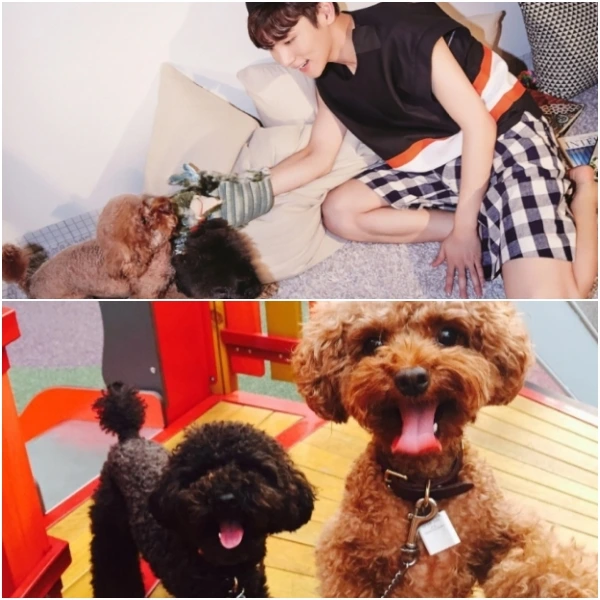 20150813120702022_10.jpg?type=w773