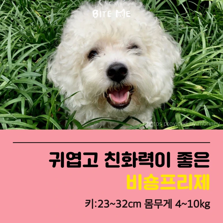 tyle-A7z-2_%281%29.png?type=w773