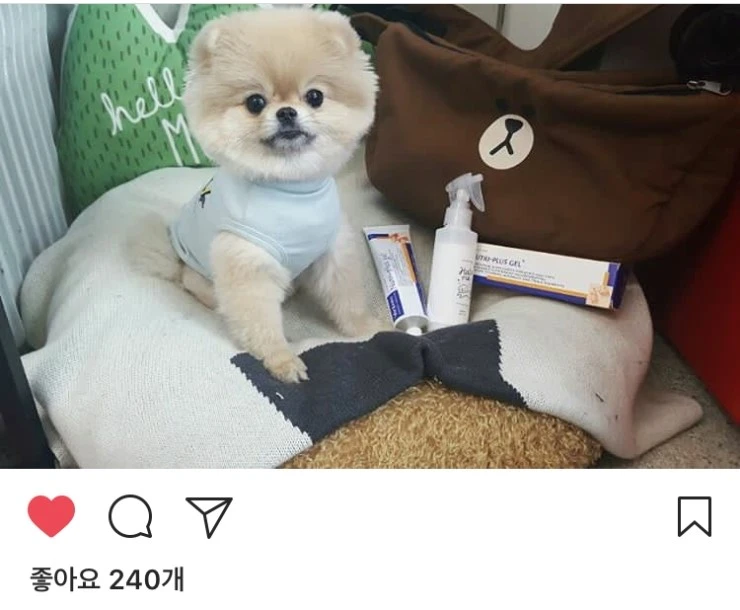 %ED%97%A4%EC%9E%87%EB%AF%B89.jpg?type=w2