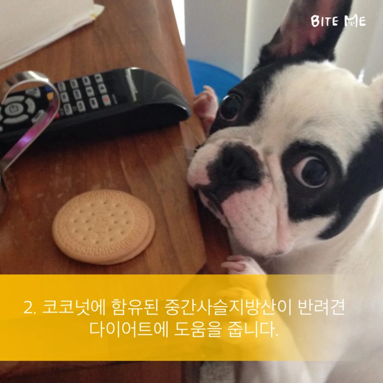 tyle-Rus-3.png?type=w773