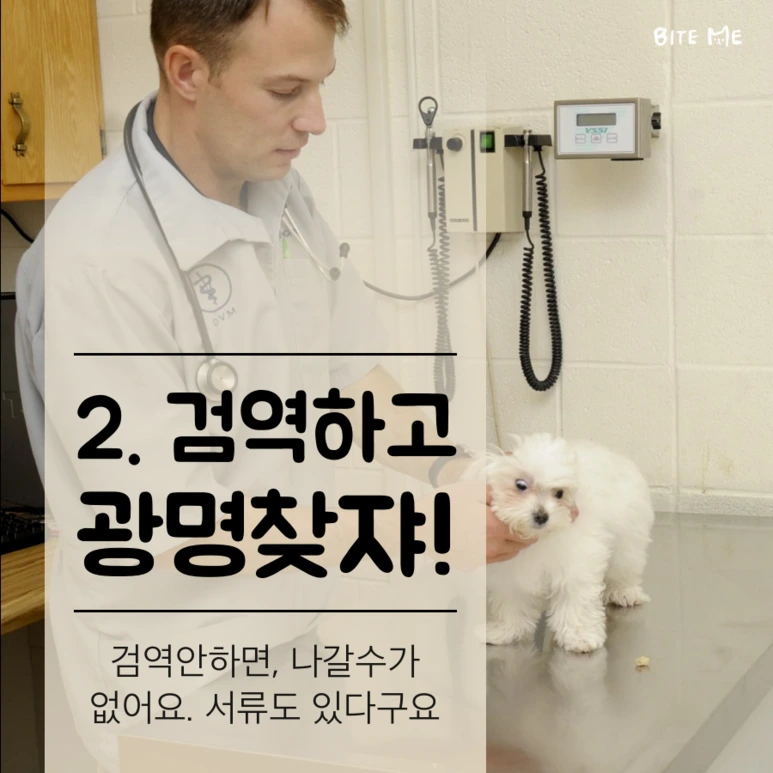 tyle-mkw-2_%281%29.png?type=w773