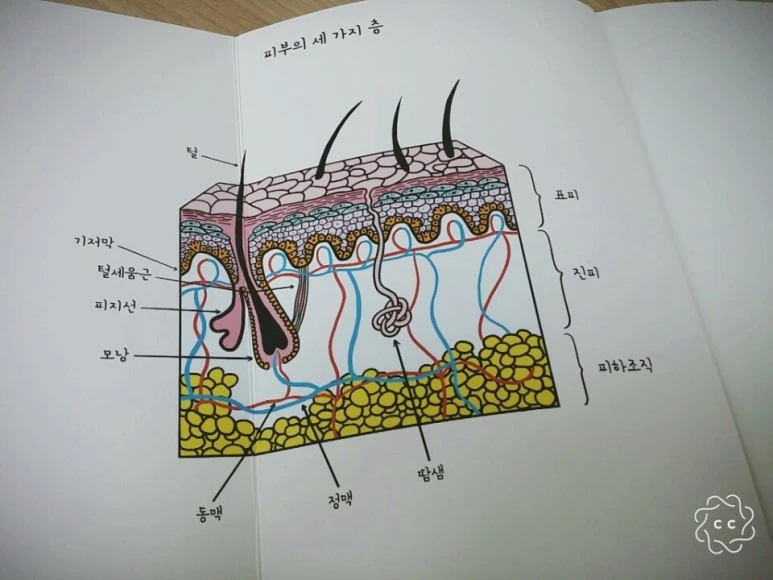 image_1235546851498025024281.jpg?type=w773